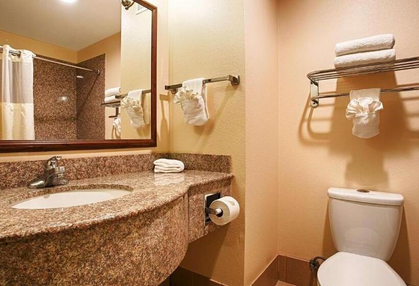 带大床的套房, Best Western I 5 Inn & Suites