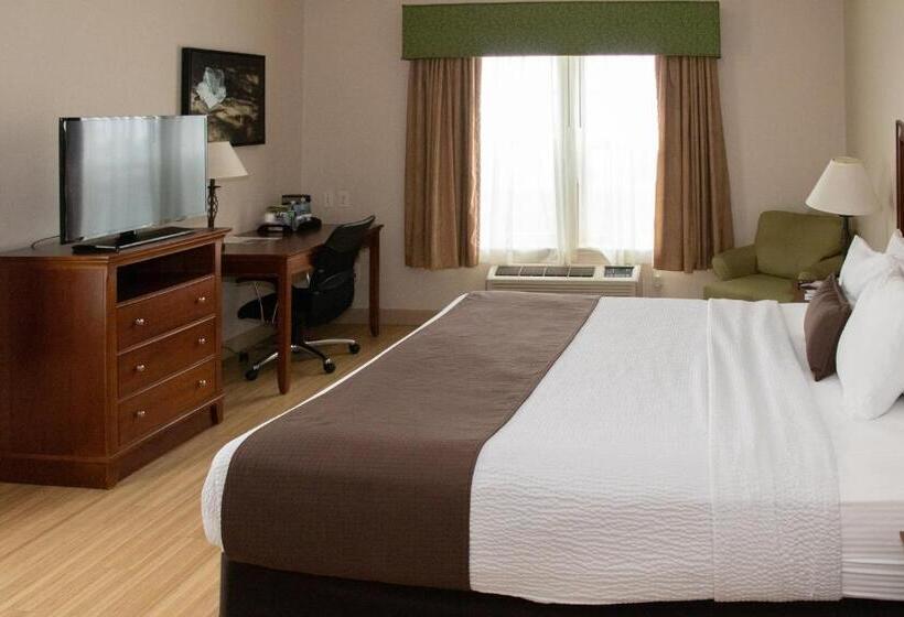带大床的标准间, Best Western I 5 Inn & Suites