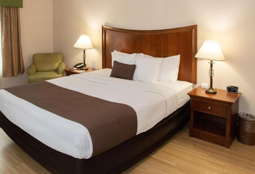 带大床的标准间, Best Western I 5 Inn & Suites