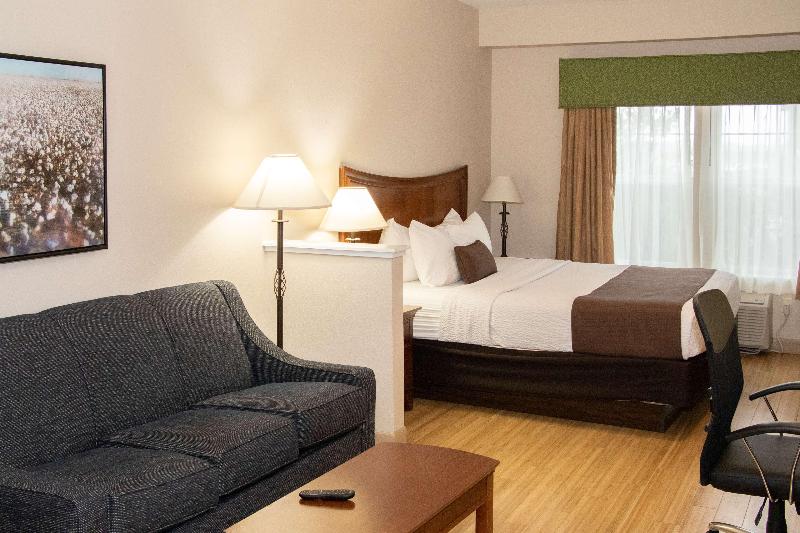 带大床的套房, Best Western I 5 Inn & Suites