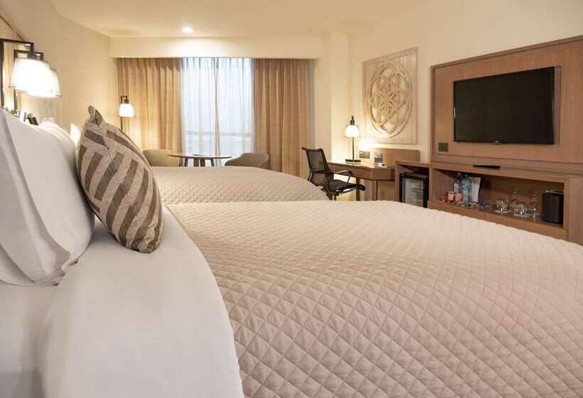 Номер Executive, Hilton Shijiazhuang