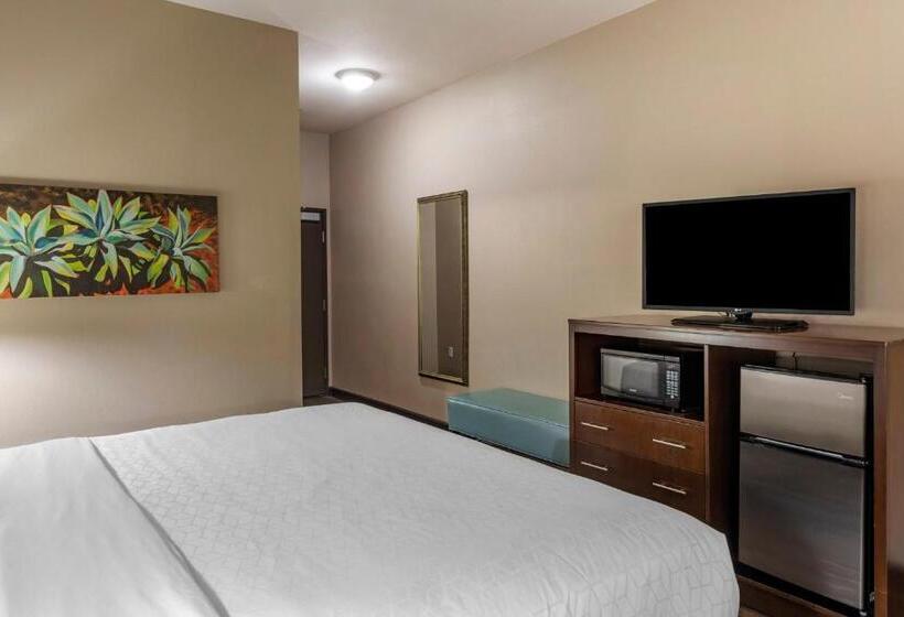 Номер Стандарт, Holiday Inn Express & Suites Indio   Coachella Valley, An Ihg