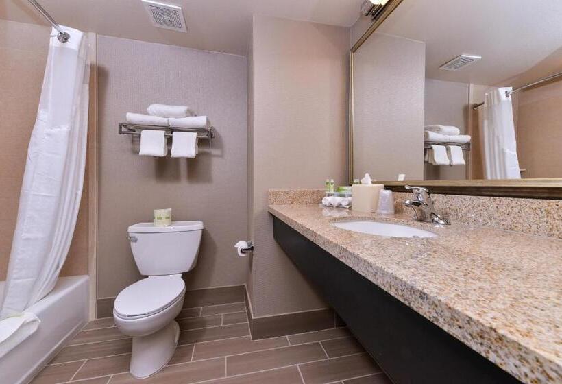 Люкс Кровать Кинг, Holiday Inn Express & Suites Indio   Coachella Valley, An Ihg