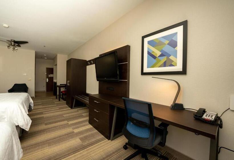 이그제큐티브 스위트 킹침대, Holiday Inn Express & Suites Deer Park, An Ihg