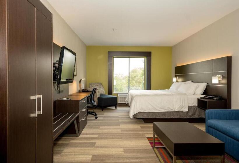 장애인을 위한 킹사이즈 침대 스탠다드 룸, Holiday Inn Express & Suites Deer Park, An Ihg
