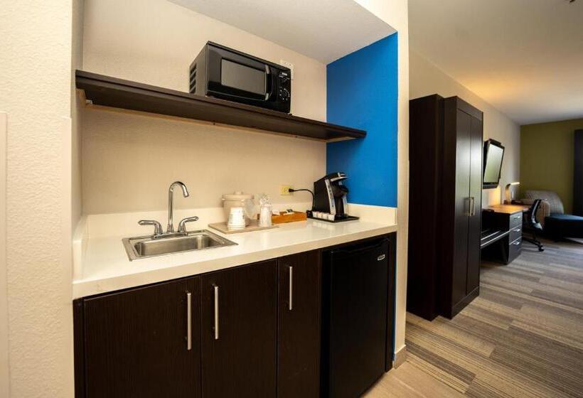 스위트 킹사이즈 침대, Holiday Inn Express & Suites Deer Park, An Ihg