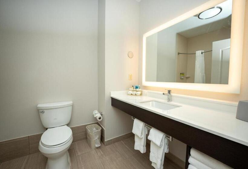 스위트 킹사이즈 침대, Holiday Inn Express & Suites Deer Park, An Ihg