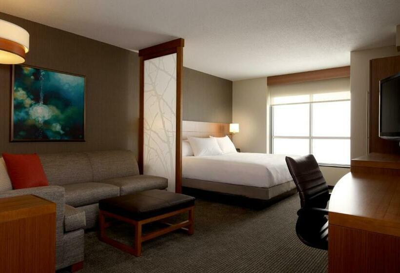 스탠다드 룸 킹사이즈 침대, Hyatt Place Washington Dc/us Capitol