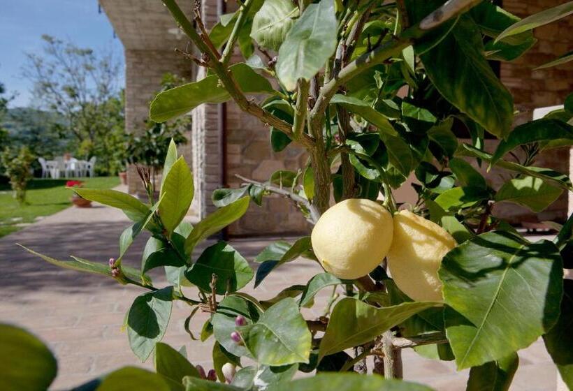 침실 1개 아파트, Relais Parco Del Subasio