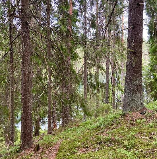 Номер Стандарт Вид на Сад, Handlarens Villa   Vandrarhem De Luxe
