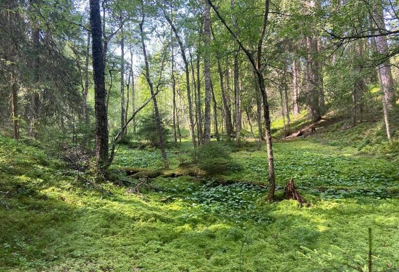 Номер Стандарт Вид на Сад, Handlarens Villa   Vandrarhem De Luxe