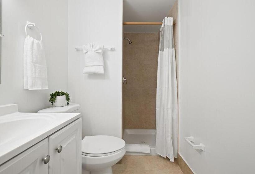 标准工作室, Sunset Inn South Miami