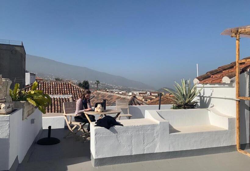 공동 객실, Gato Azul   Coliving