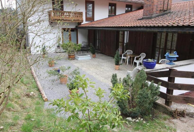 Номер Стандарт с Террасой, Pension Oberwirt