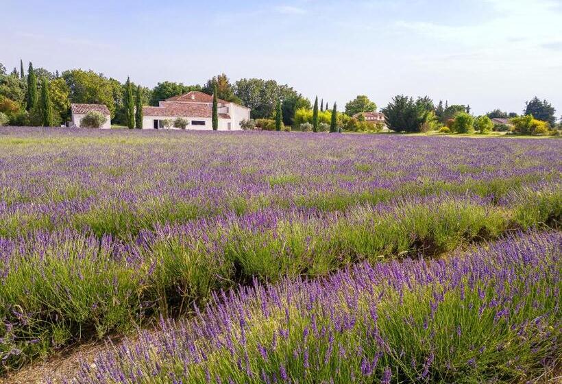 Стандартный Номер Кровать Кинг, Bastide De Damien