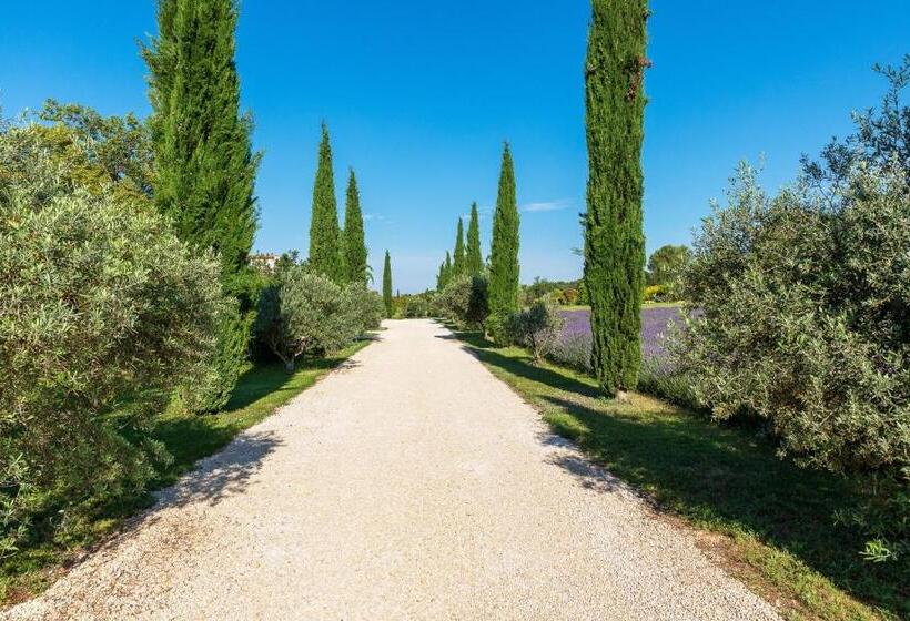 Люкс с гидромассажем, Bastide De Damien