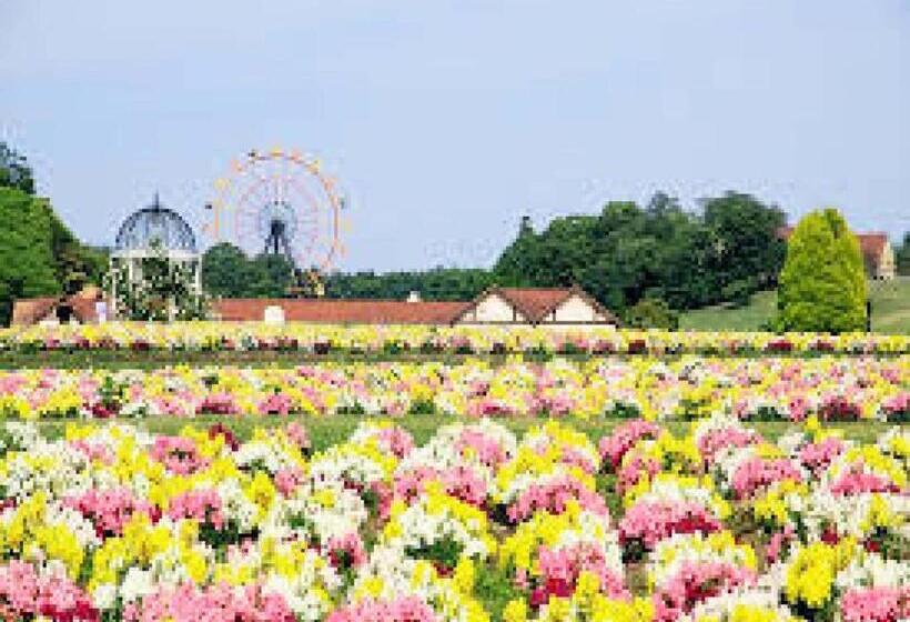 Студия Стандарт, Royal Garden Kisarazu / Vacation Stay 72226