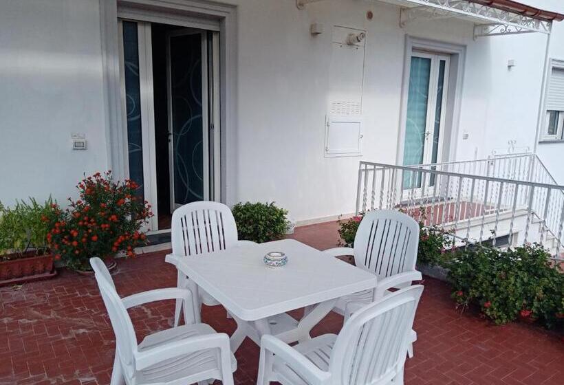 Стандартный Номер Кровать Кинг, Sunset House
