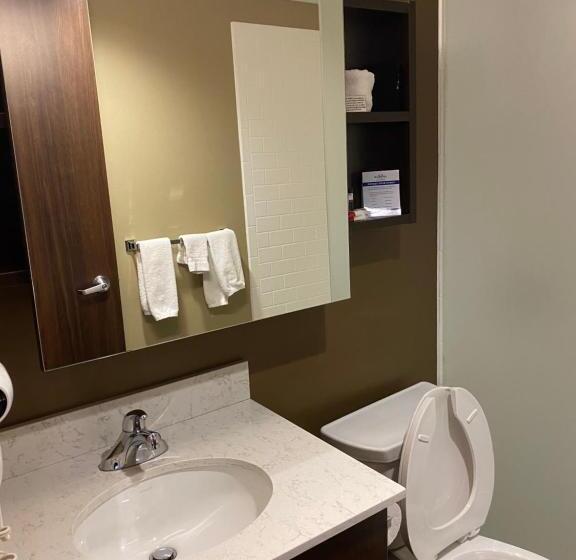 Люкс Superior, Microtel Inn & Suites By Wyndham Timmins