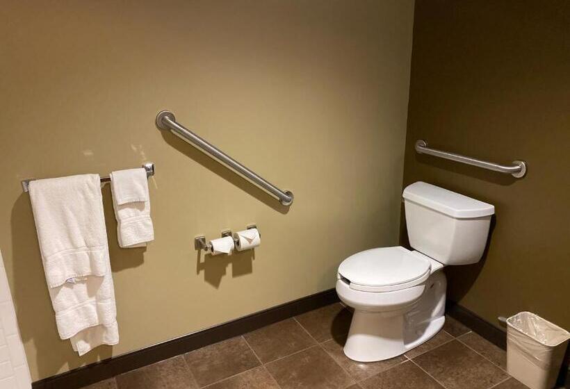 Люкс, Microtel Inn & Suites By Wyndham Timmins