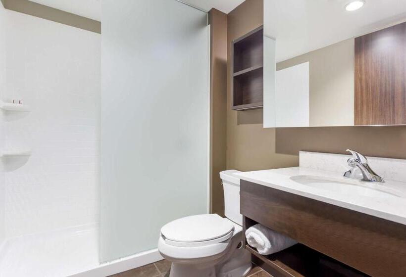 Номер Deluxe, Microtel Inn & Suites By Wyndham Timmins