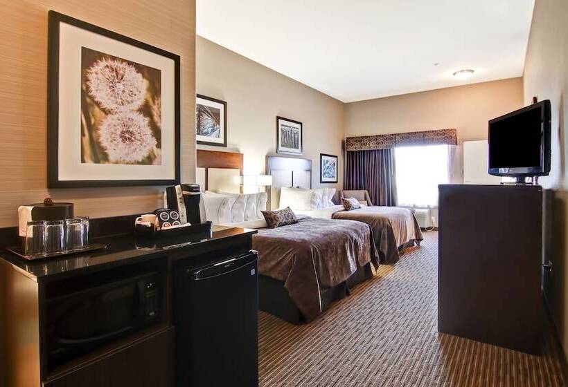 スタンダードルーム, Canalta Hotel Shaunavon