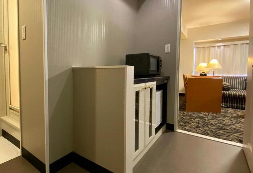 스탠다드 트리플 룸, Apa Hotel Kanazawa Katamachi Excellent