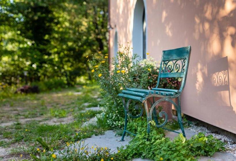 带1个卧室的高级公寓, Agriturismo Bellandi