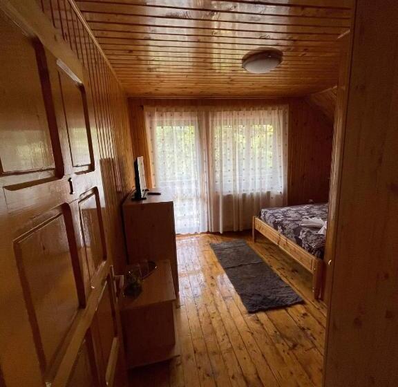 ویلای 1 خوابه, Vila Maria Dambovicioara
