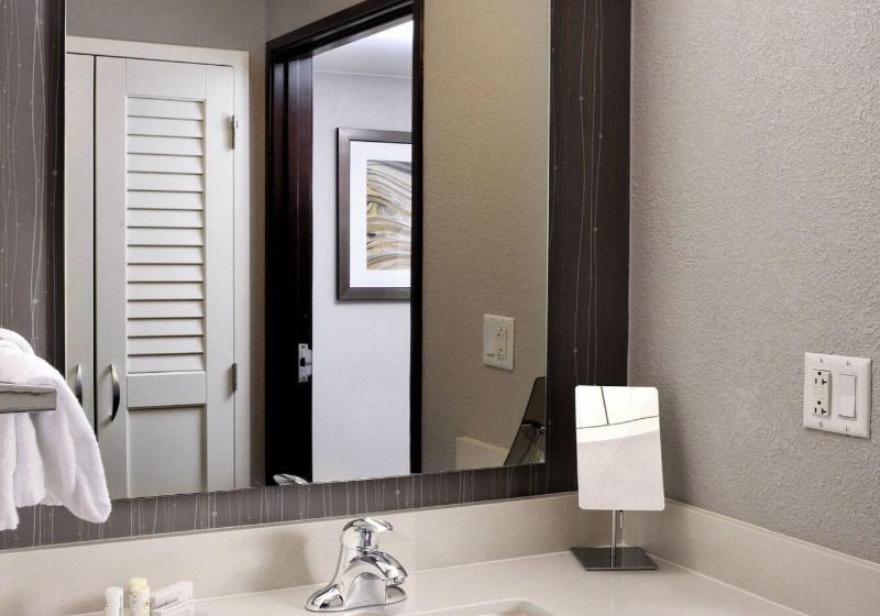 سوئیت با تخت بزرگ, Courtyard By Marriott Houston Northwest