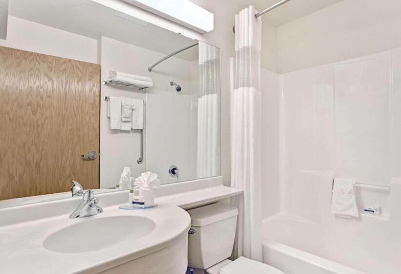 Номер Стандарт, Microtel Inn & Suites Cheyenne