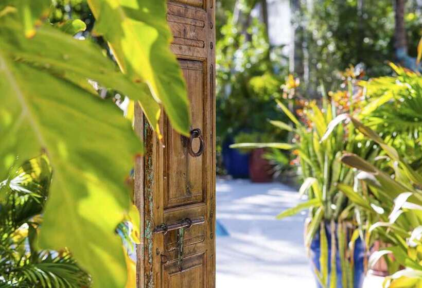 וילה בת 3 חדרי שינה, Parrot Key Hotel & Villas