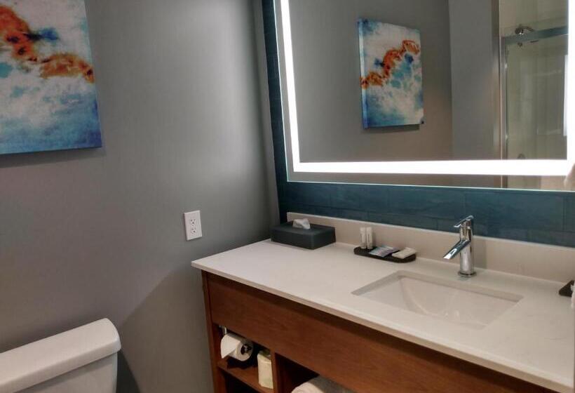 스탠다드 룸 킹사이즈 침대, La Quinta Inn & Suites By Wyndham Bardstown