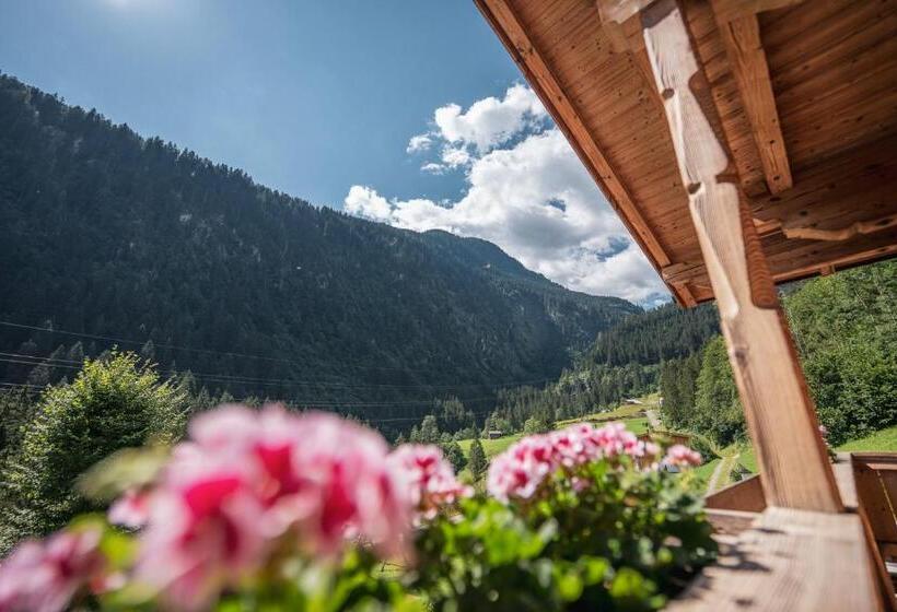 Апартаменты 1 Спальня, Das Lindtal   Appartements