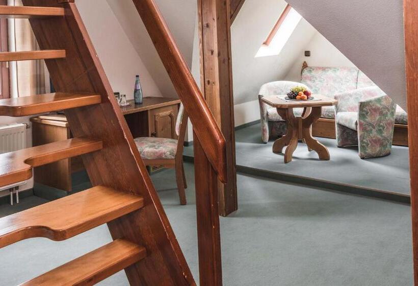 Номер Дюплекс, Berghotel Friedrichshöhe