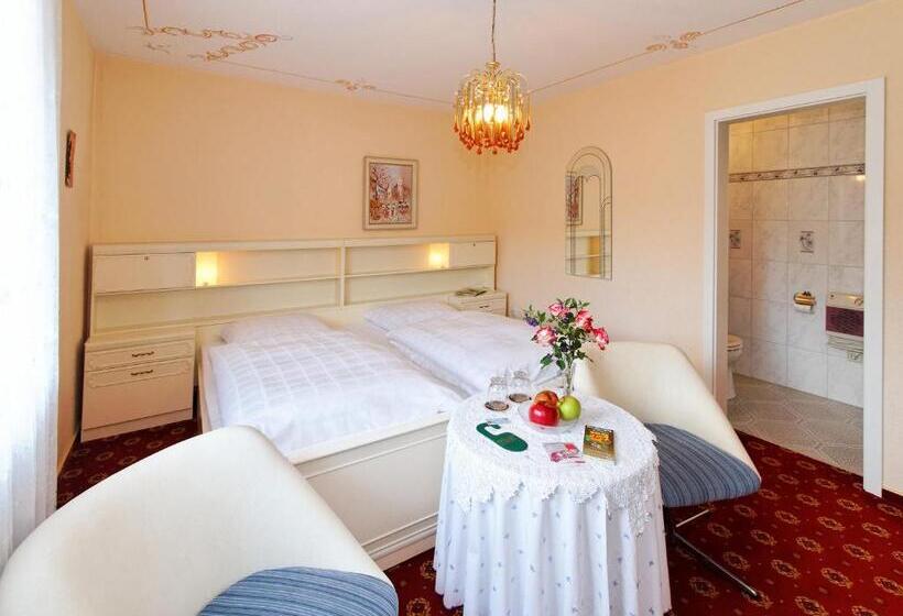 Номер Стандарт, Garni Regina