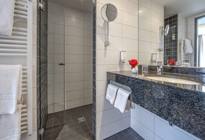 프리미엄 룸, Ibis Styles Aalen