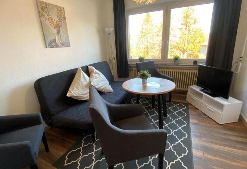 Апартаменты 1 Спальня, Berghotel Harz