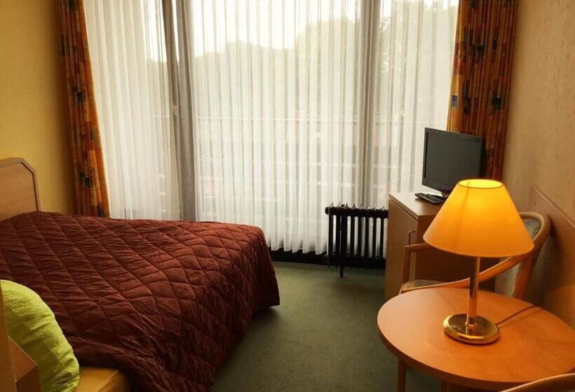 Номер Стандарт, Habitación Doble Estándar   Panorama Hotel Pension Frohnau
