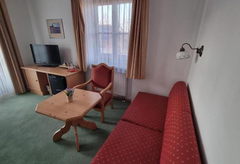 Номер Superior, Pension Geiger