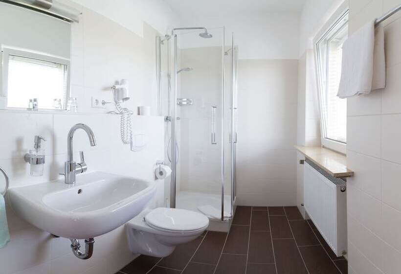 Номер Комфорт Индивидуальный, Vitalhotel König Am Park
