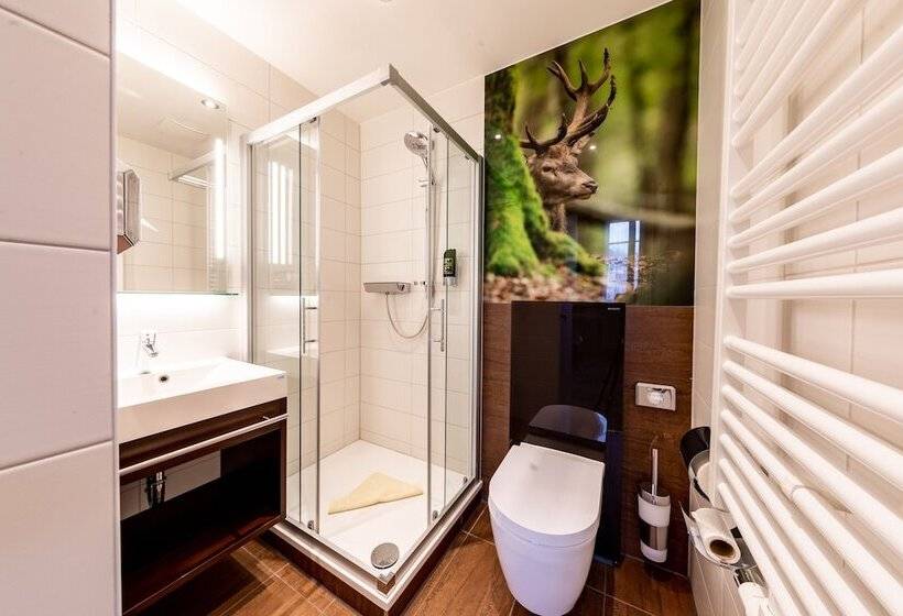 Индивидуальный Номер Классика, Ringhotel Jägerhof