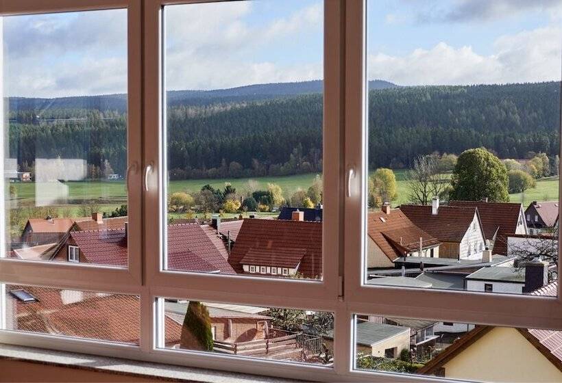 Номер Стандарт Индивидуальный, Berghotel Tambach