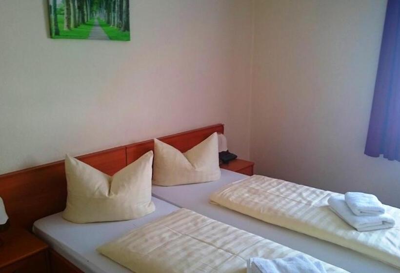 Номер Стандарт Индивидуальный, Ferienhotel Zwotatal