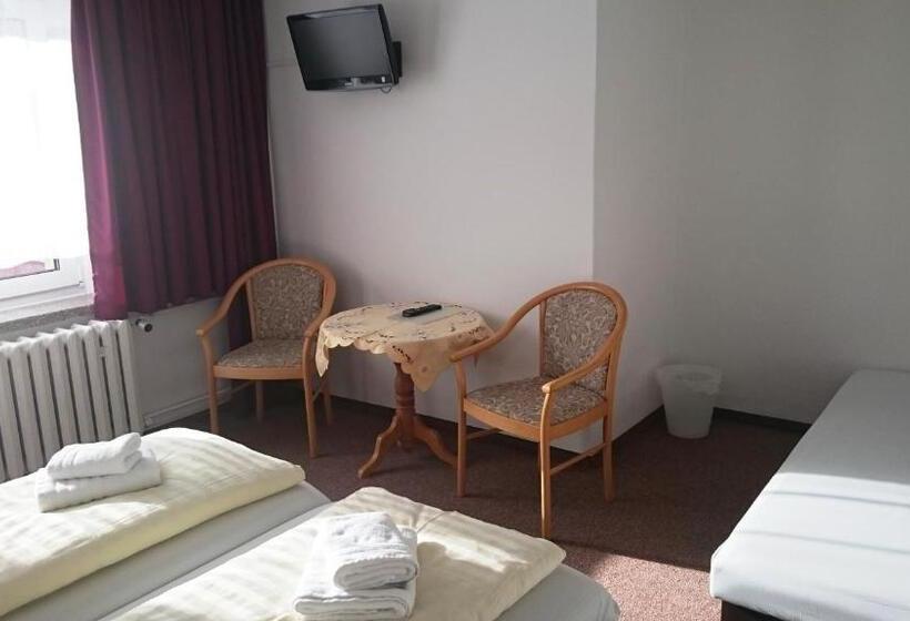 Номер Стандарт Трехместный, Ferienhotel Zwotatal