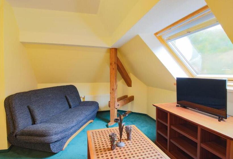 Апартаменты 1 Спальня, Ferien Hotel Villa Südharz