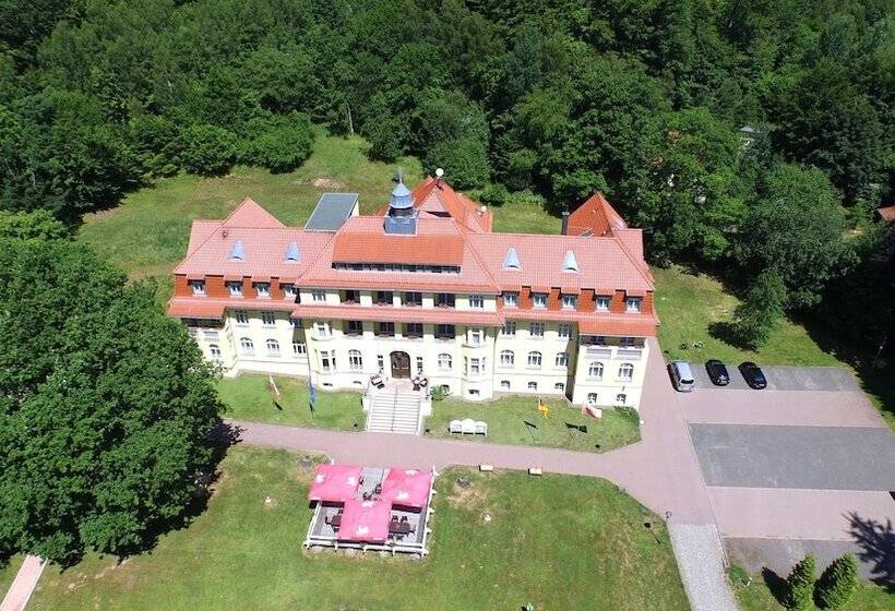 Номер Стандарт Индивидуальный, Ferien Hotel Villa Südharz