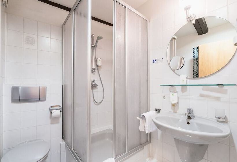חדר סטנדרט יחיד, Flair Hotel Deutsches Haus