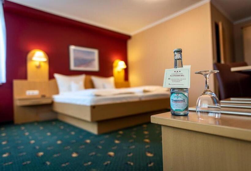 Номер Стандарт Индивидуальный, Komfort Hotel Katerberg