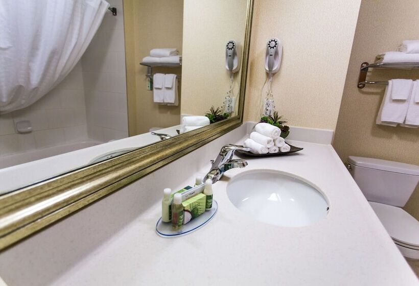 Люкс, Days Inn & Suites By Wyndham Edmonton Airport